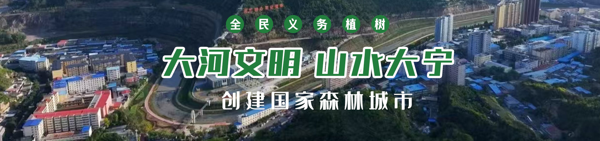 大宁县植树网站